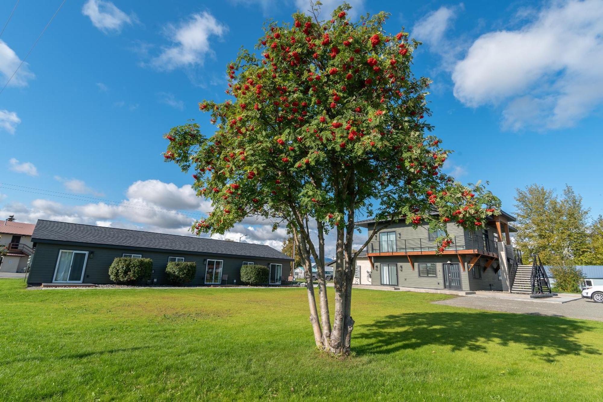 Colony Suites Palmer Exteriör bild